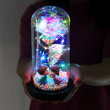 Belle - Das Perfekte Geschenk für Deine Liebste