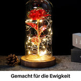 Belle - Das Perfekte Geschenk für Deine Liebste