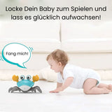 Mr. Krabbi - Das Geheimnis für die Bauchlage bei Babys